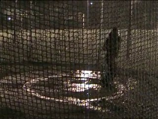 entrainement mélo le 4 nov 2010