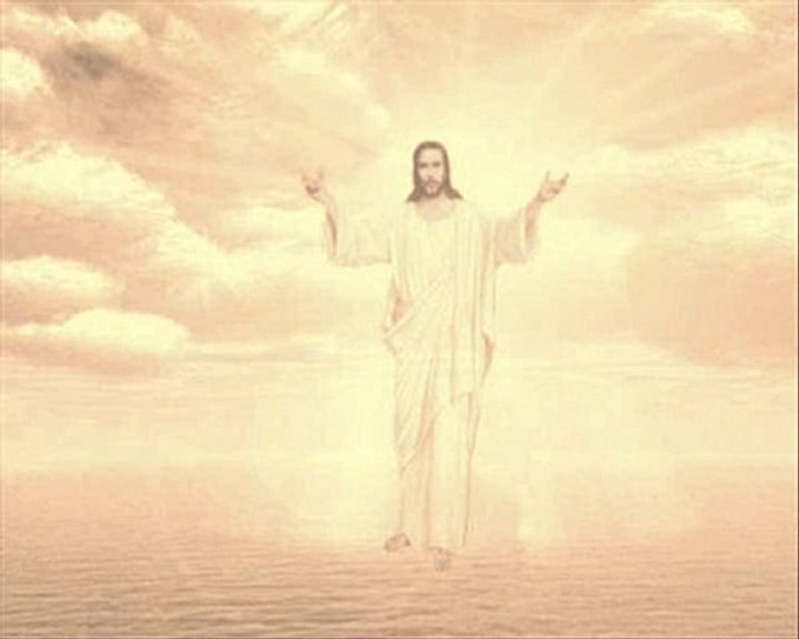 La vie apres la Mort, Fallout et The Catalyst LINKIN PARK