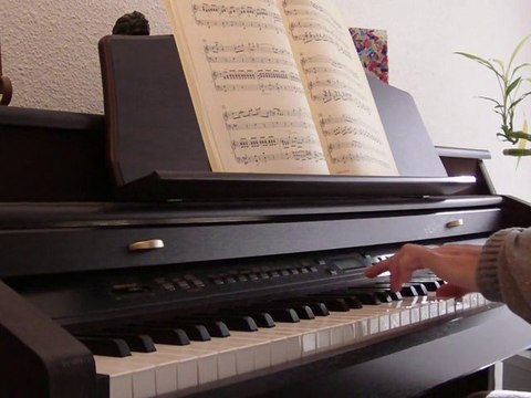 Mozart-21ème Concerto(Elvira Madigan)