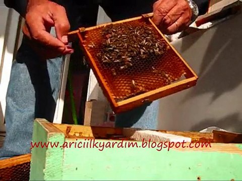 Balkondaki ana kutusu 5-kasım