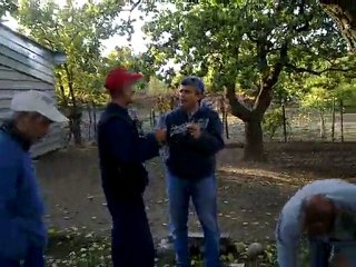 Kurban pazarlığı 2010