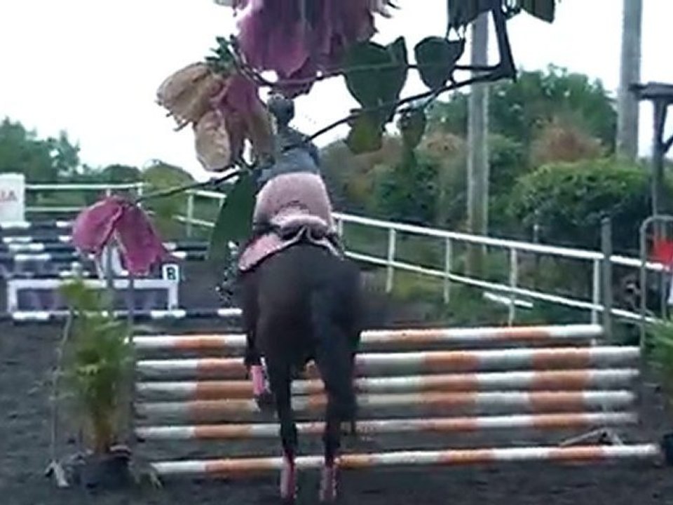 31.10.10-CSO club au CEM-club2GP-SavannahSham