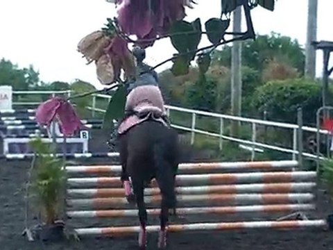 31.10.10-CSO club au CEM-club2GP-SavannahSham