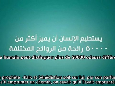 Fattabiouni 6 Le Parfum (Sunna du prophete (saw))