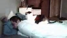 Cat_night_activ