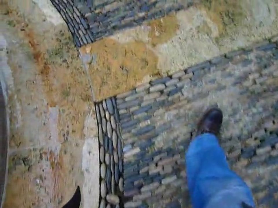 101029_MuseeAugustin02