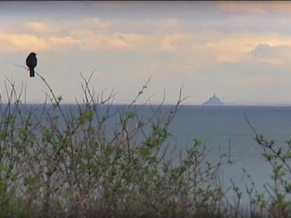 Une chambre d'hôtes à Cancale - Les escapades de Philippe