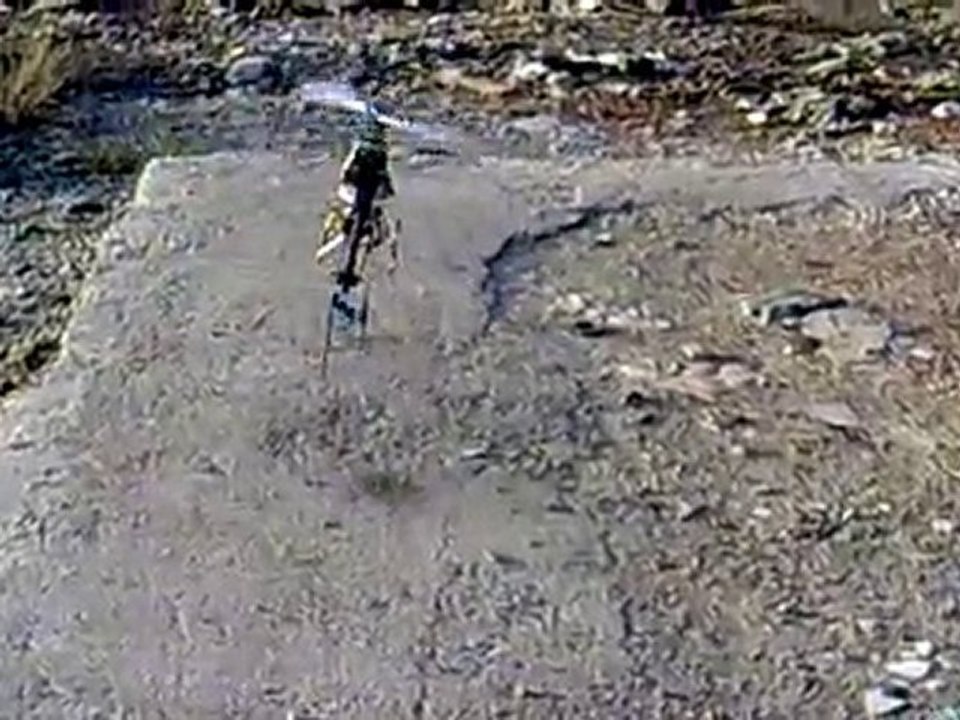 T-rex 450 Sport Kuyruk Titremesi