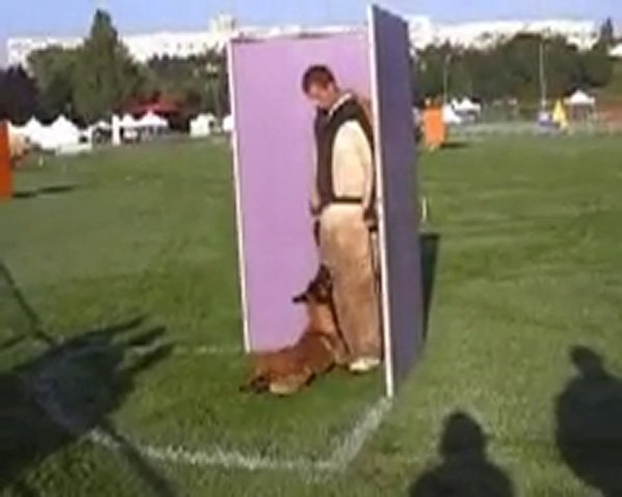 DOGTRA Ring 2 BESANCON