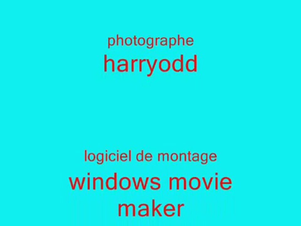 lego 1