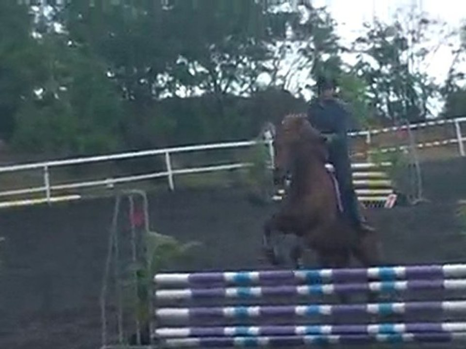 31.10.10-CSO club au CEM-club2GP-MaitéNino