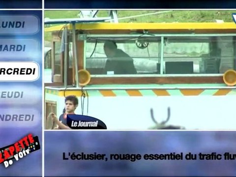 Zapette du 02 au 05 Novembre 2010