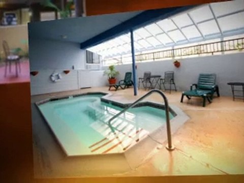 Pet Friendly Hotel Encinitas California