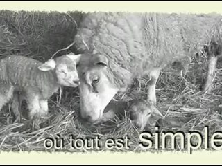 présentation des visites de la ferme pédagogique