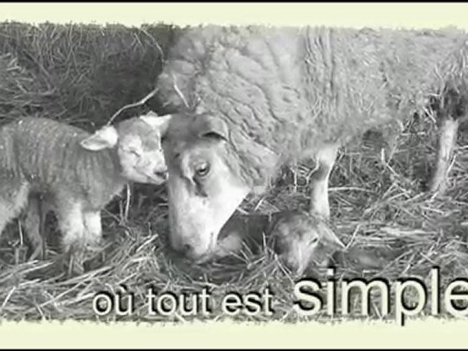 présentation des visites de la ferme pédagogique