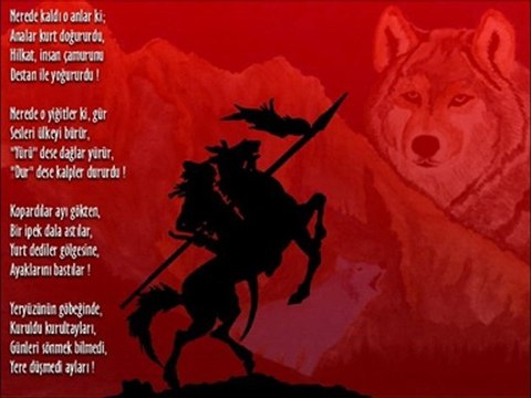 ahmet şafak-yalnız kurt