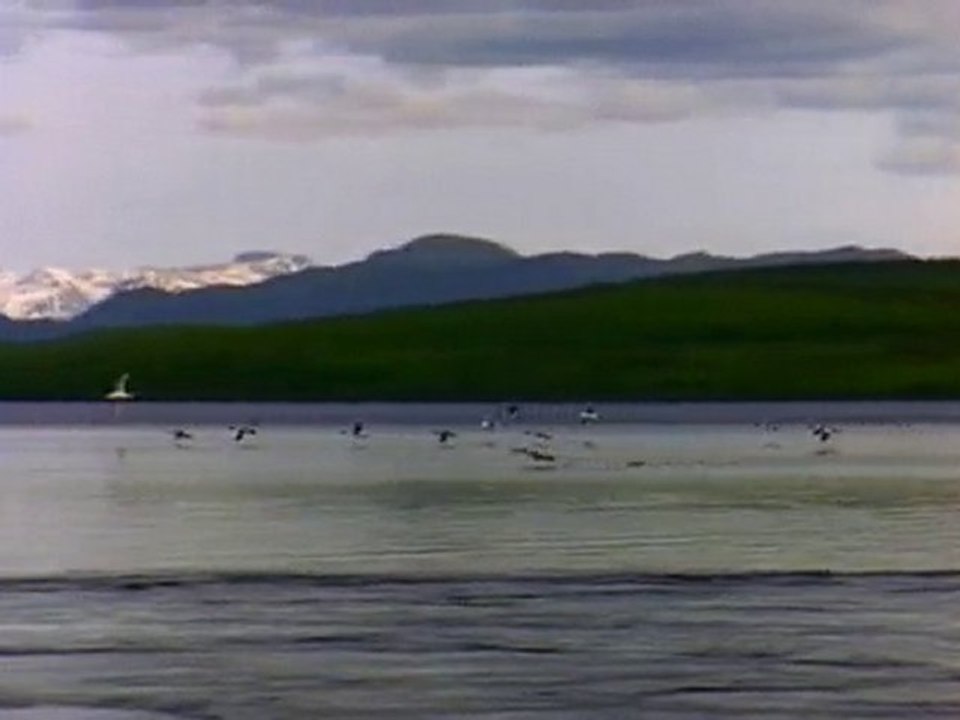 Lake