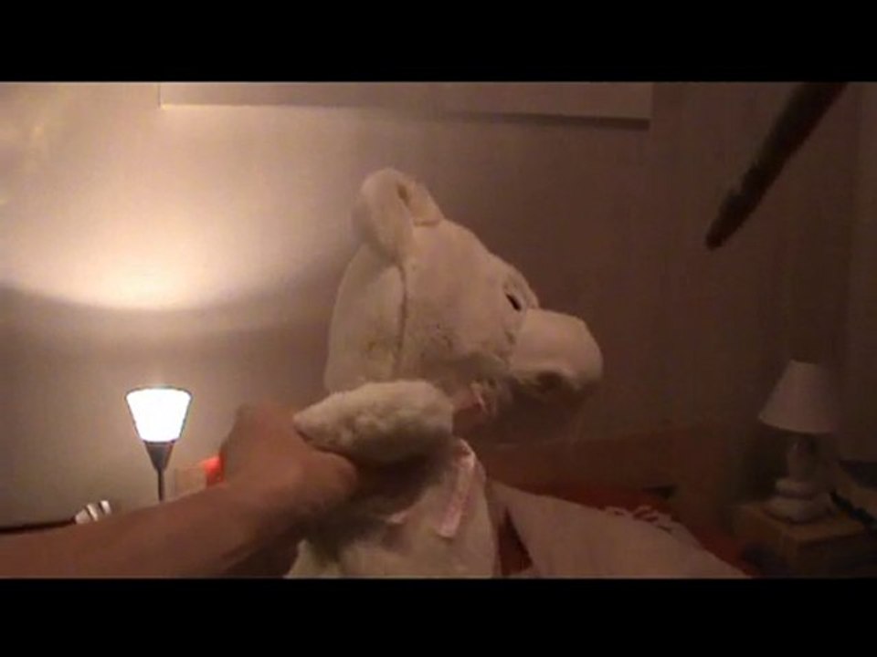 Harry Potter à Rouen (cours de magie)