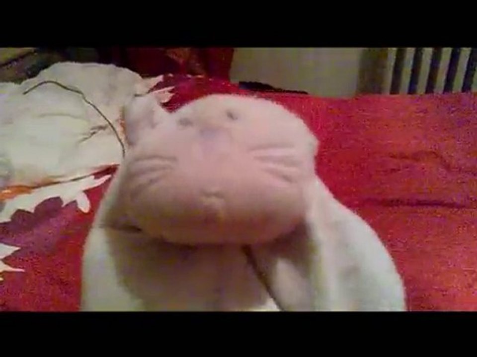 Harry Potter à Rouen peluche