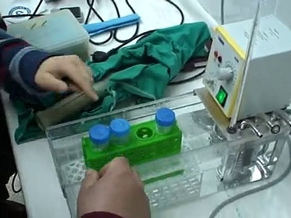 VTS_01_2
