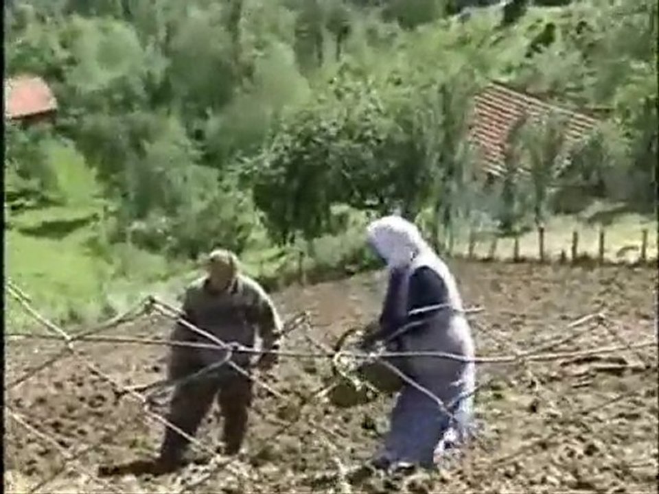 YUKARISÖKÜ  KADILAR KUŞ ÜZÜMÜ ŞENLİĞİ