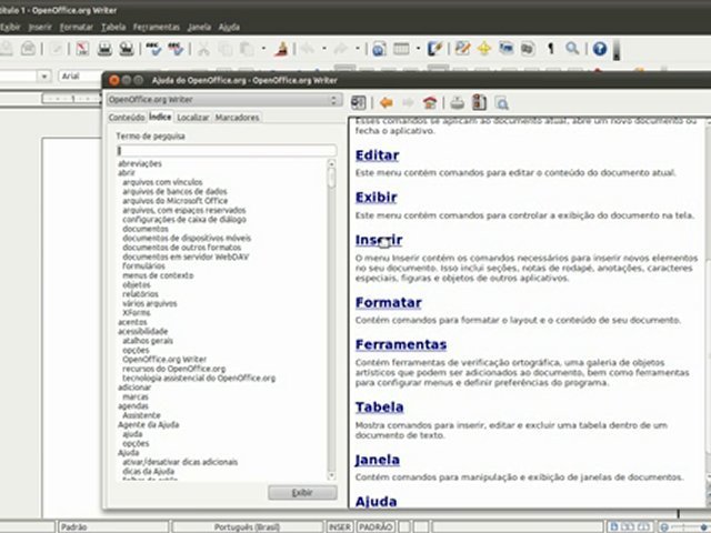 Vídeo Aulas de Writer