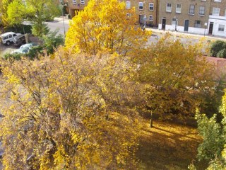 Hugh Hopper: Long Lingers Autumn Time