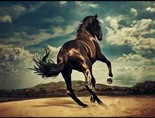 Shadows - Johnny Guitar