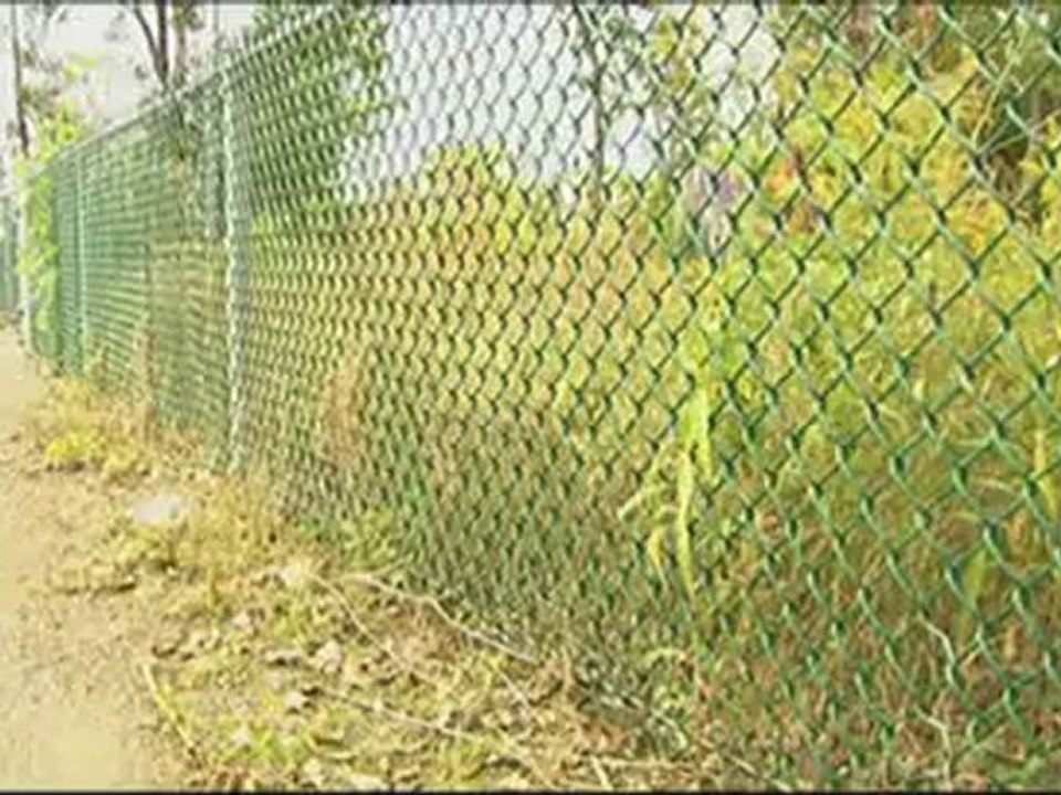 Canada: Corruption et fraudes électorales municipales (2)