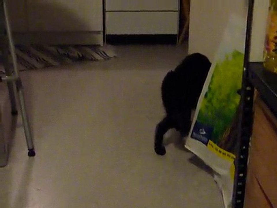 Scène de chasse