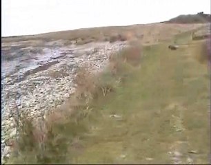 Autumn walk at Kearney 6.11.03