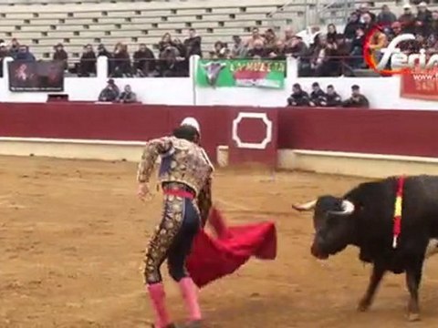 NOVILLADA NON PIQUEE DE ST SEVER