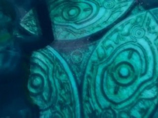 TR8 Vignette 03 Diving