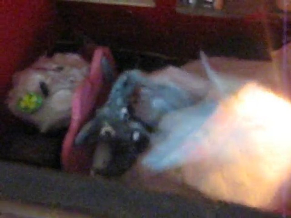 la curiosité et _n bon default b