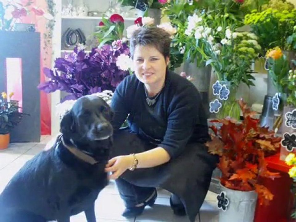 Association Rescue Labradors