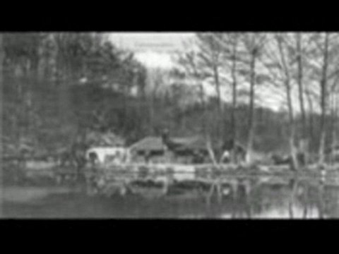 Magiczne zakątki starego Szczecina