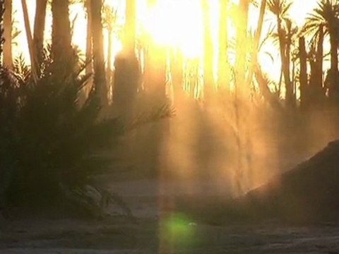 AROUND TRIAL IN AFRICA Arthur Coutard 2010