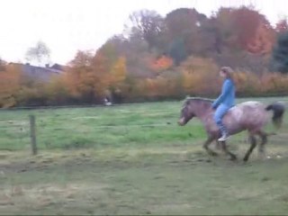 Séance du 04 novembre 2010 (partie montée)