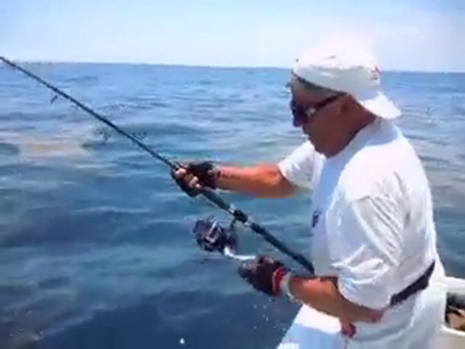 AU COMBAT AVEC REQUIN