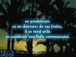 HADITHS TELEISLAM-01