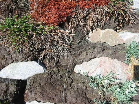 021 Cabanes de trappeurs