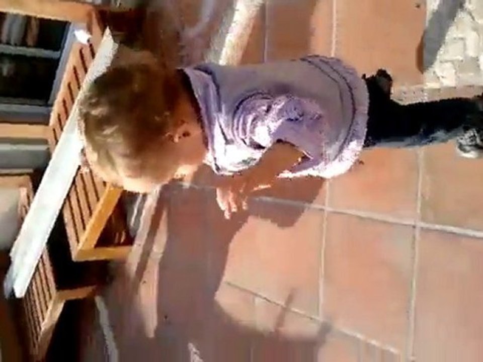 Jules 2