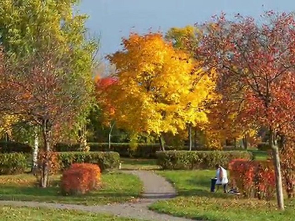 Краски осени