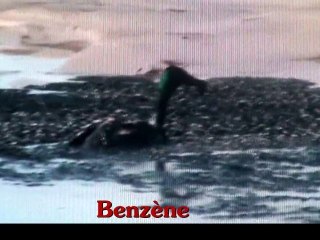 170 km2 de boues toxiques