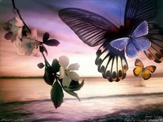 Feridun Düzağaç - Ağlarsan Düşerim