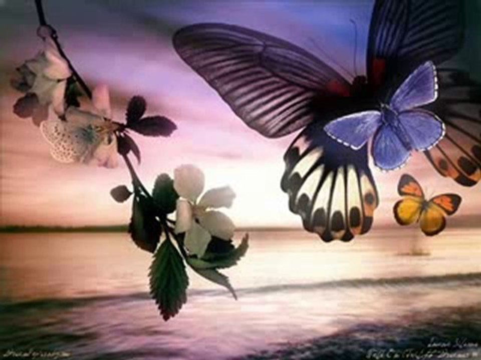 Feridun Düzağaç - Ağlarsan Düşerim