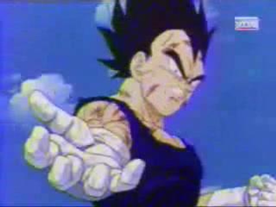 vegeto