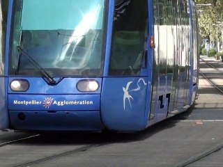 Tramway Montpellier Station  Philippides
