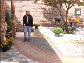 Chicago landscapers fall cleanup tips