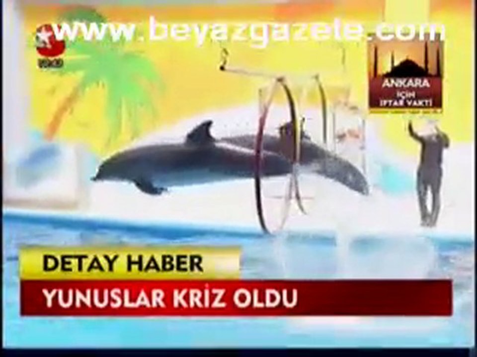 Özgür Yunuslar @ Star Tv Ana Haber